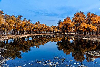 扮演狗狗！冒险新作《The Rising》Steam页面上线